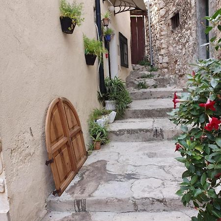Room With Shared Bathroom House Gorica Sibenik Bagian luar foto